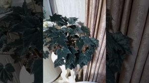 Посылка из прошлого . Как вышивали наши мамы 🤔( и папа)👨