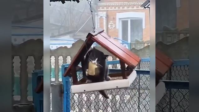 Прилетела «птичка» 😁