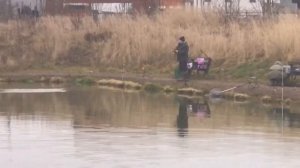 поимка форели на фидер