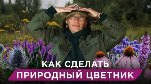 Луговой цветник вместо газона: природная красота круглый год