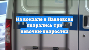 Три девочки 15‑17 лет попали в полицию после драки на вокзале под Петербургом