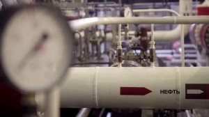 Путин заявил о востребованности в Индии российских нефтепродуктов и удобрений