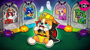 Щенячий патруль и Маршалл. Залипательное видео. Мультфильм для детей и малышей. Анимация