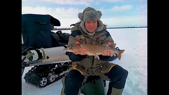 Оживление фотографии №27