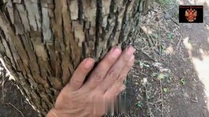 🔴Миномётная батарея ВСУ.🔴