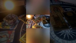 Полинина квартира. Дисклеймер.