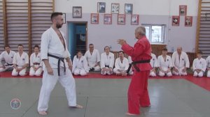 Защита от ударов ногами дзёдан маваши гири в айкисамбо