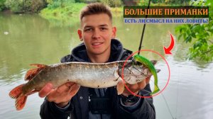 Рыбалка на БОЛЬШИЕ ПРИМАНКИ!/ Есть ли смысл на них ловить?