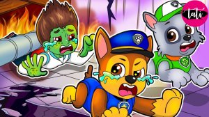 Щенячий патруль и Маршалл. Залипательное видео. Мультфильм для детей и малышей. Анимация