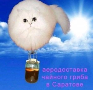 пытаюсь во что то играть🌹