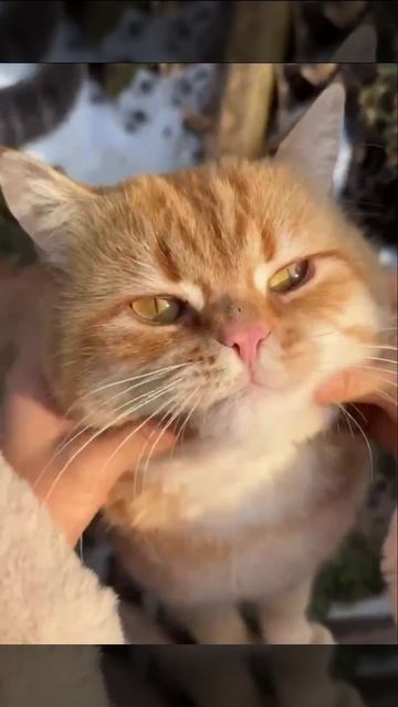 Кого еще потискать?