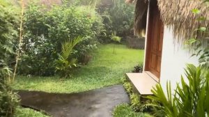 Беженец🇮🇩Бали. ПОЗНАКОМИЛСЯ С ПОЛИНОЙ. УБУД, НОМЕР ЗА 14 $ И ЧИЛЛ В ВАННЕ В ДЖУНГЛЯХ