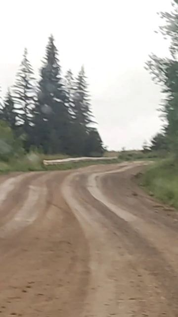 Сошедшие с небес новая песня от автора. Анонс.