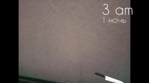 5 ночей с волчеком первая ночь