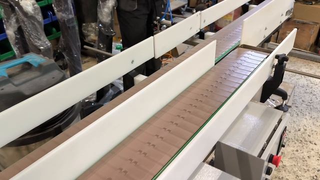 Транспортёр пластинчатый двойной (для сортировки)