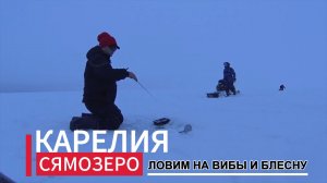 Рыбалка в Карелии 2025 Сямозеро. Окунь . Судак . Отдых .