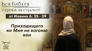 Евангелие от Иоанна 6: 35 - 39 / Вся Библия строка за строкой