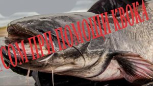 ТИЗЕР СВОИМИ РУКАМИ, ДЛЯ ЛОВЛИ СОМА…