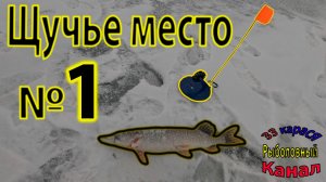 Щучья рыбалка со льда, выезд с Батей за щукой на жерлицы #топ