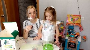 О телеграм канале и о бабочкарии. Выращиваю дома тропических бабочек.