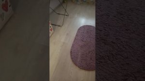 туту туту туту