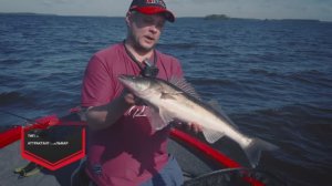 "АКВАТОРИЯ СПИННИНГА"