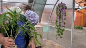 Делаю уборку в беседке и во дворе