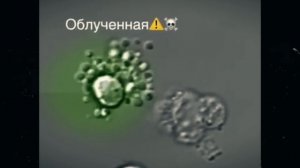 Еслиб ты жил в Чернобыле #мистика #чернобыль #ужастик