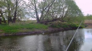 Река щурья полна