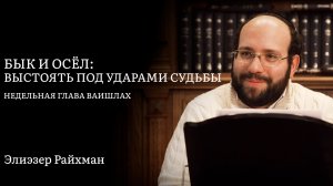 Бык и осёл: выстоять под ударами судьбы