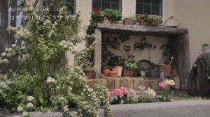 ЧАСТНЫЙ НЕБОЛЬШОЙ САД МАЙЙ В РАЗНЫЕ СЕЗОНЫ.  ЙОКОГАМА, ЯПОНИЯ