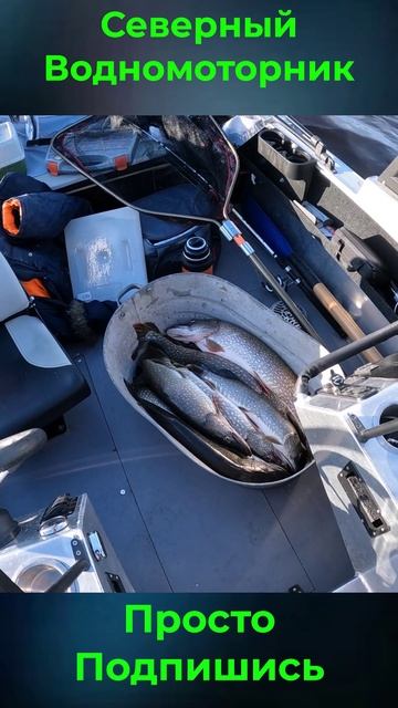 Итоги клёвой Рыбалки