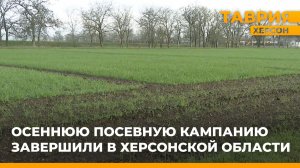Осеннюю посевную кампанию завершили в Херсонской области