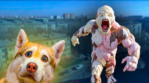 ЛИЗНУТЬ ЧЕЛОВЕКА МОРОЖЕНОЕ БЫЛО ПЛОХОЙ ИДЕЕЙ!! Хаски Бублик Говорящая собака