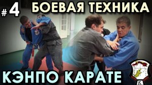 Боевая механика Кэнпо-Карате: техника синего пояса – 4.