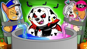 Щенячий патруль и Маршалл. Залипательное видео. Мультфильм для детей и малышей. Анимация