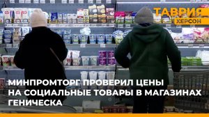 В Геническе проверили цены на социально значимые товары