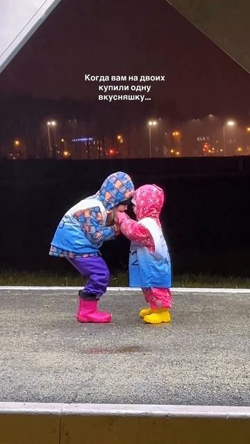 Вот так даже не подрались в этот раз😅