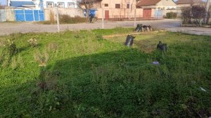 Один из дней города Евпатории | 6 января 2021 год | Крым | ХАН БАТОН XAH 6ATOH | VID_20210106_142156