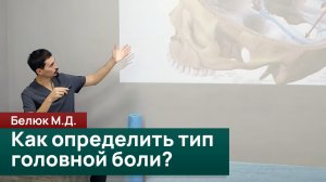 Как определить тип головной боли? Белюк М.Д.