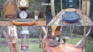 #онлайн_кормушка_для_птиц. 4 декабря 2025 года. г. Калуга