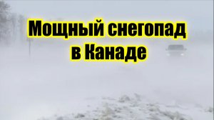 Канаду накрыл сильный снегопад школы и офисы закрываются