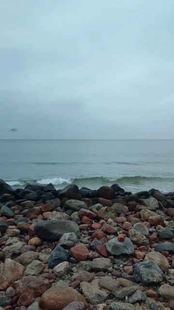 Балтийский берег, начало декабря. смотреть онлайн