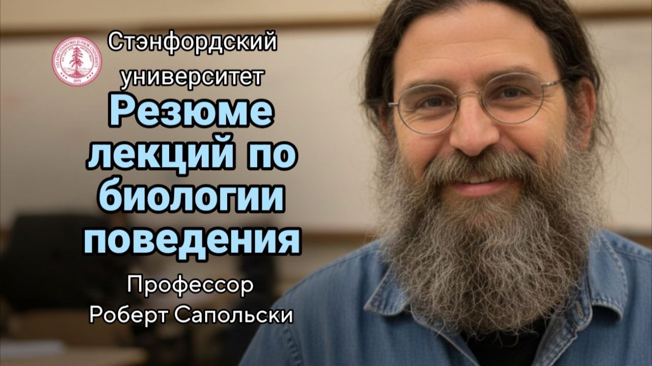 11- Нейробиология памяти