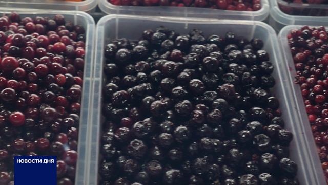 ОРЕНБУРЖЦЫ ЛЕЧАТСЯ НАРОДНЫМИ СРЕДСТВАМИ