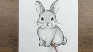 Как легко нарисовать милого Кролика - Простые рисунки животных карандашом шаг за шагом