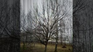 Ни при чём © Copyright: Бронислав Сычёв, 2025 Свидетельство о публикации №125112905981