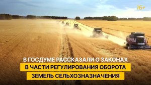 В Госдуме рассказали о законах в части регулирования оборота земель сельхозназначения