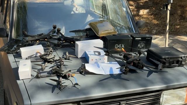 Волонтёры Ялты