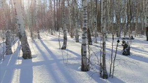 Проверка капканов часть #3.